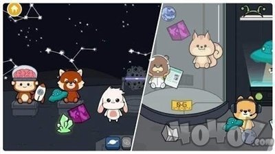 罗布泊和朋友