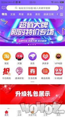 蚂蚁微淘
