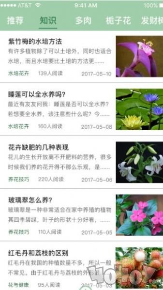 花草识别