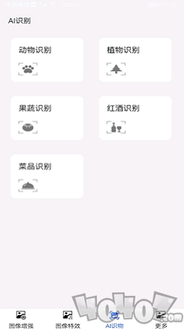 AI识物拍照识花