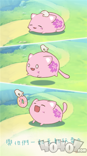 麻薯猫收集
