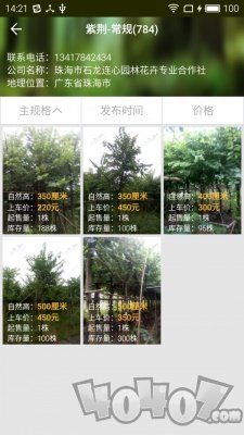 爱淘苗