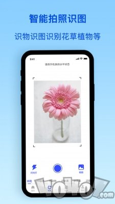 识物君