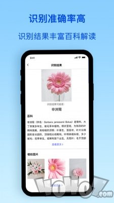 识物君