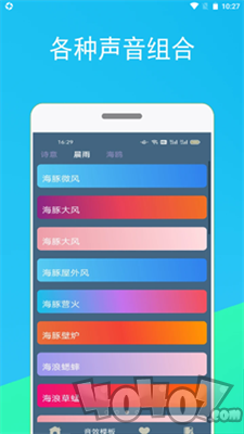 蚂蚁睡眠