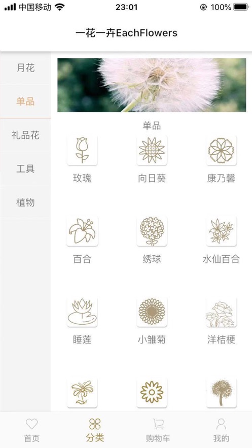 一花一卉
