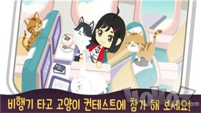 喵喵餐厅的奇迹