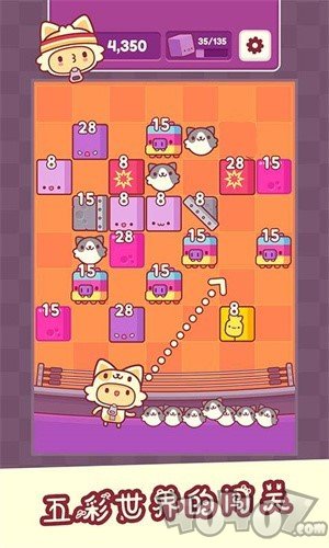 我是猫老大
