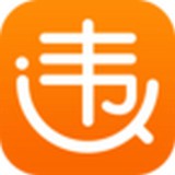 车主查违章