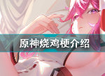 原神烧鸡是什么意思 原神所以是数一数二的烧鸡梗来源出处