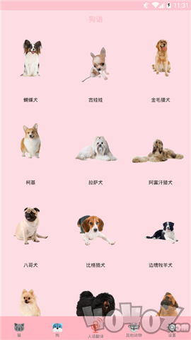 喵喵转换app安卓版下载-喵喵转换手机版下载v2.5.2
