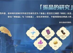 原神振晶的研究活动全攻略