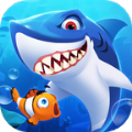 OceanDomination