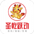 圣乾跃动