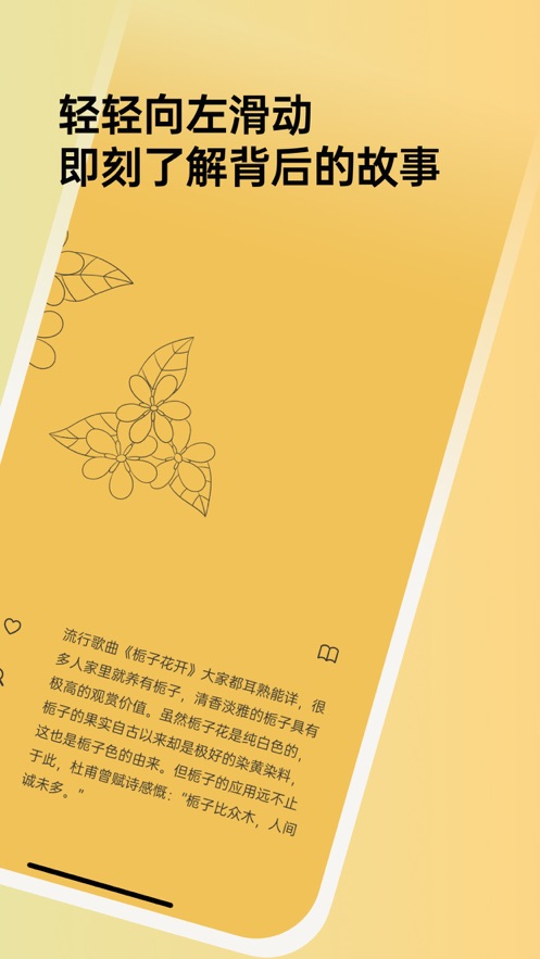 植物彩雅