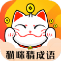猫咪猜成语