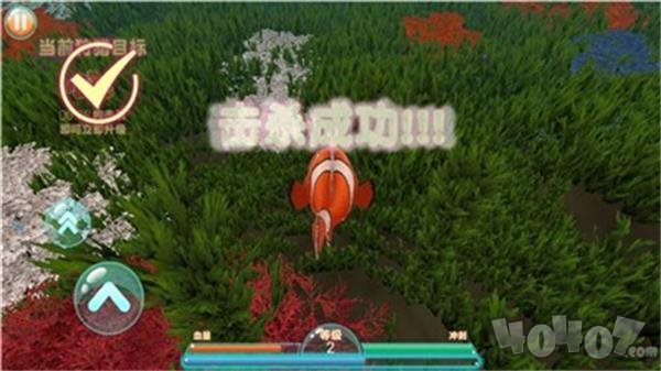 进击的鱼鱼