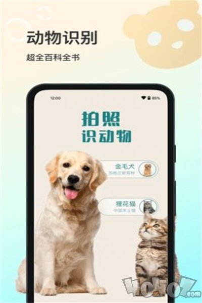 花卉识别大全