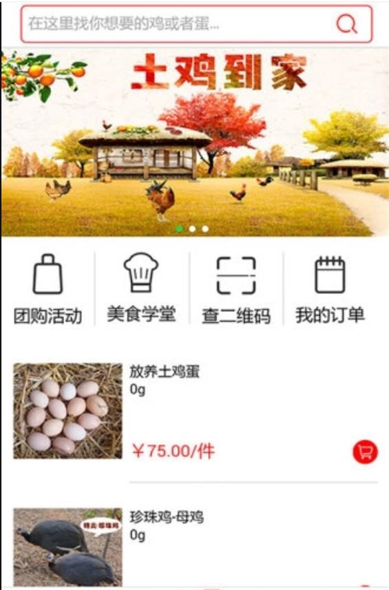 土鸡到家