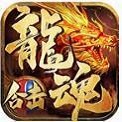 龙魂合击单职业