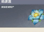 原神劫波莲采集路线 草神纳西妲劫波莲采集位置一览