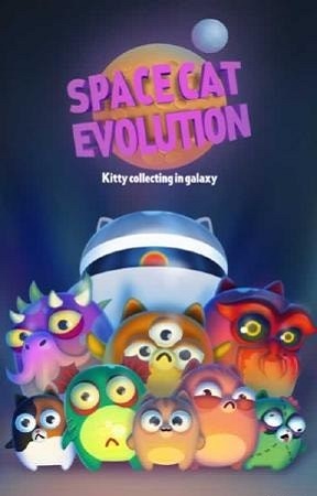 空间猫的演变