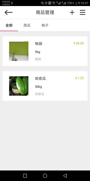 种子台账