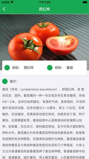 静蔬记