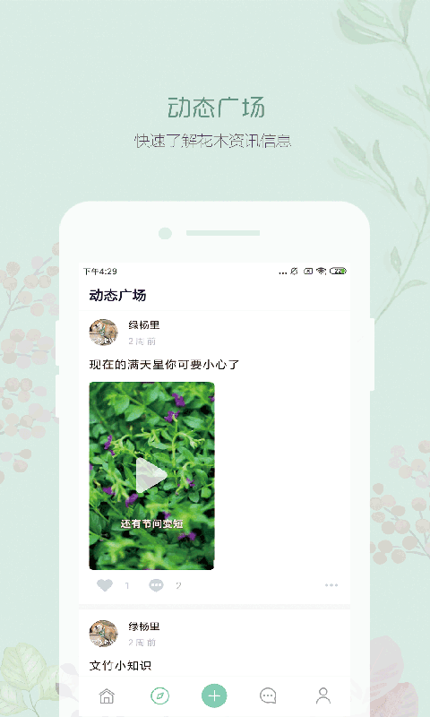 懂花木