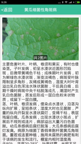 种好地免费