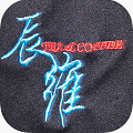 辰维