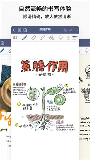 GoodNotes                </div>
            </div>
            <!--游戏截图-->
            <div class=