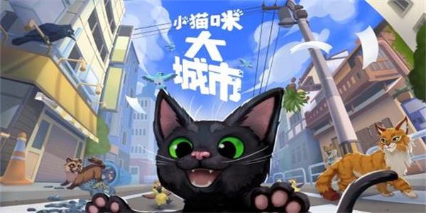 小猫咪大城市