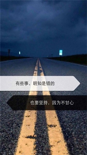 看美2024版本