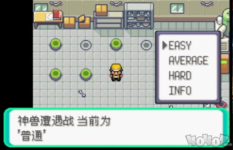 口袋妖怪绿宝石肉鸽