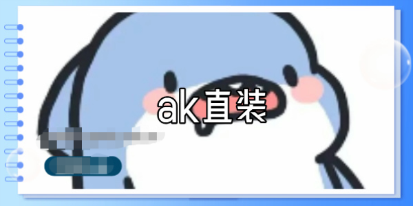 ak直装