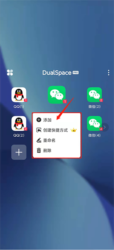 DualSpacePro