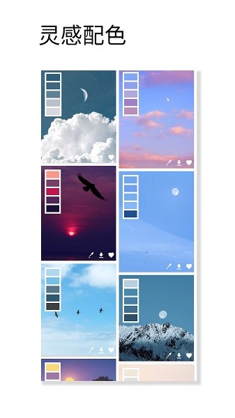 观色配色app华为