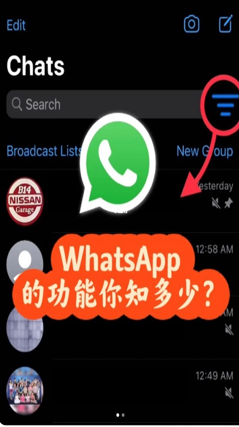 whatsapp新版