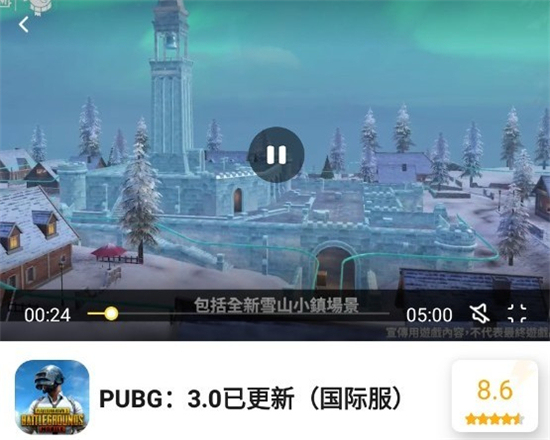 闪电龟pubg