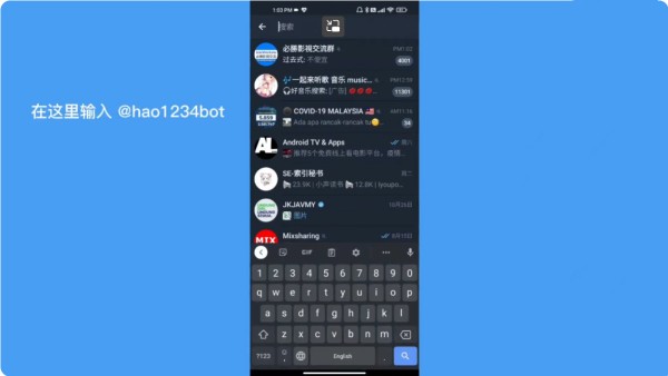 TG灰色版怎么加入群组
