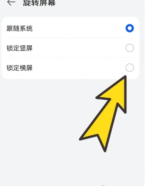 bobo浏览器