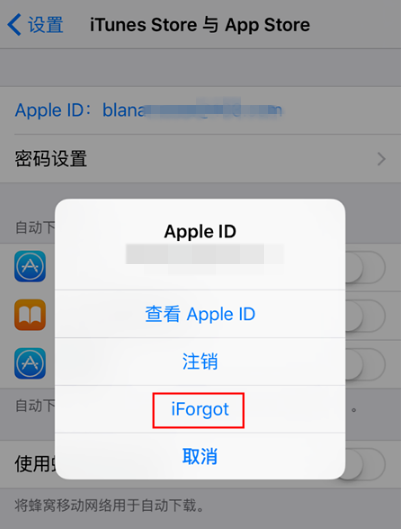 ios应用商店下载