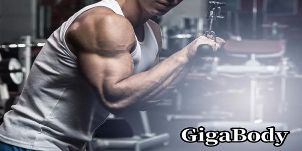 GigaBody