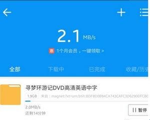 torrentkitty最新版使用教程