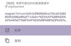 torrentkitty最新版使用教程