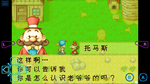 牧场物语矿石镇的伙伴们金手指