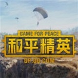 和平精英美化包永久免费版