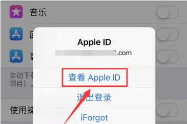 AppleStore中文版