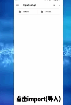 InputBridge